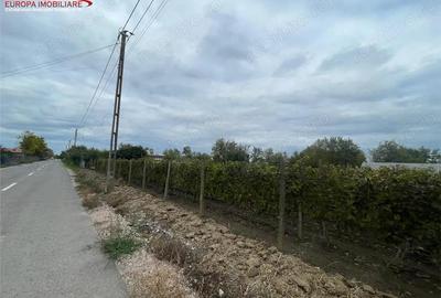 Teren de 1000 mp, în Iazurile - 10