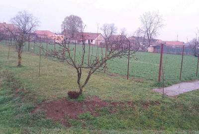 Teren de 1490 mp, în Macea - 1