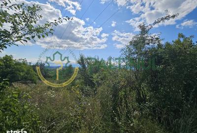 Teren de 2134 mp, în Câineni