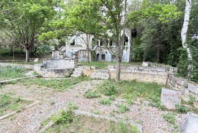 Casă individuală cu 6 camere cu Teren 10000 Mp în Caransebeș - 7