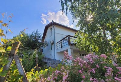 Casă cu Teren 27000 Mp în Central - 3