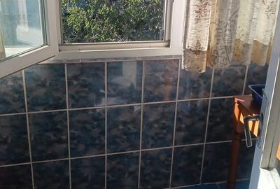 Apartament cu 2 camere semidecomandat, mobilat în Dacia - 11