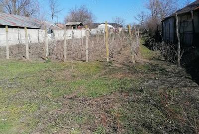 Teren de 712 mp, în Vădăstrița - 6