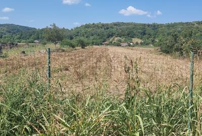 Teren Construcții intravilan de 5236 mp, în Mihăești - 1