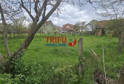 Casă cu 2 camere cu Teren 3101 Mp în Galda de Jos - 6
