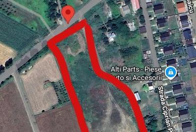 Teren de 10000 mp, în Proselnici