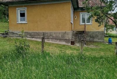 Casă cu Teren 3400 Mp în Mociu - 2