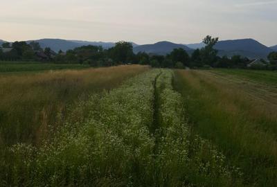 Teren de 1400 mp, în Săsar