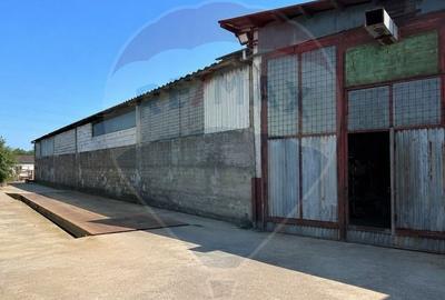 Spațiu industrial, de 1,318 mp, în Jilava - 3