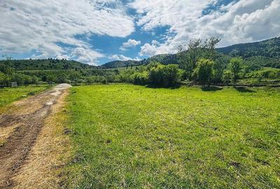 Teren de 1053 mp, în Nucșoara