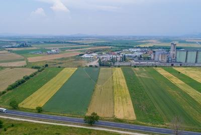 Teren agricol intravilan de 8600 mp, în Periferie - 6