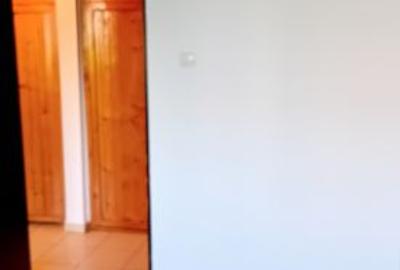 Apartament cu 3 camere decomandat în Malu Roșu - 6