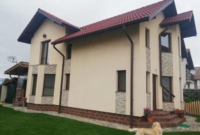 Casă cu Teren 300 Mp în Curtișoara - 2