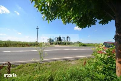 Teren de 28500 mp, în Movilița - 12