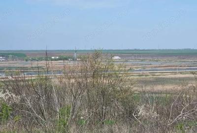 Teren de 4300 mp, în Comana - 1