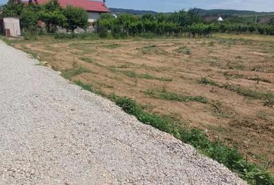 Teren de 715 mp, în Central