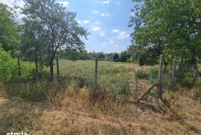Teren de 1300 mp, în Bocsig