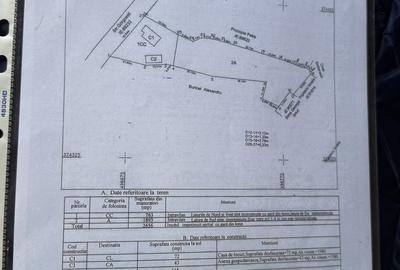 Casă cu 3 camere în Ștefănești - 5