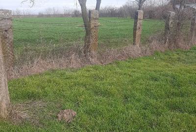 Teren de 3700 mp, în Obad - 7