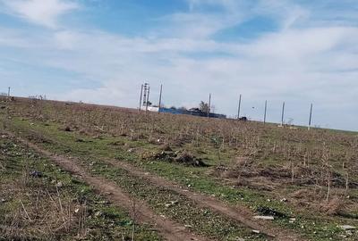 Teren de 440 mp, în Central