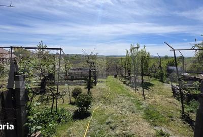 Casă cu 3 camere cu Teren 2900 Mp în Sâncraiu de Mureș - 7