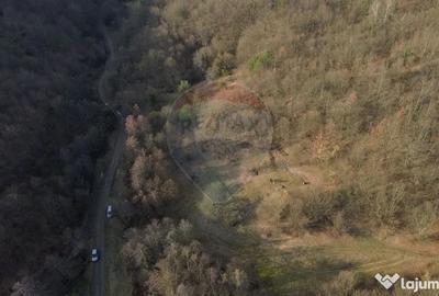 Teren de 5000 mp, în Coaș - 6