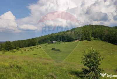 Teren de 128948 mp, în Munteni - 4