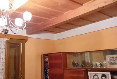 Casă cu 5 camere cu Teren 5000 Mp în Cărăsău - 7