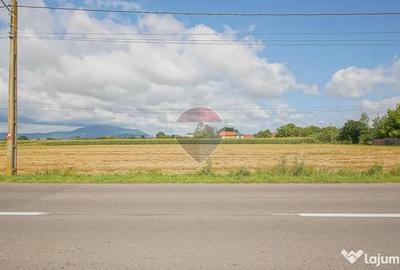 Teren în Stupini