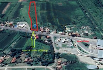 Teren Construcții intravilan de 12000 mp, în Petea - 2