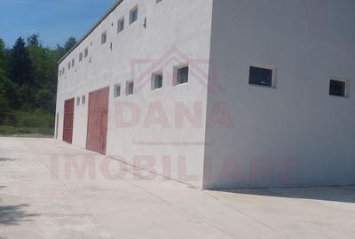 Spațiu industrial, de 150 mp, în Băuțar - 4