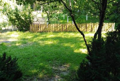 Casă cu 4 camere în Telega - 3