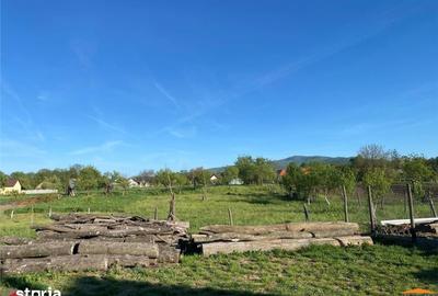 Casă cu 6 camere cu Teren 923 Mp în Târnova - 12