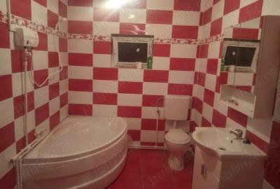 Casă cu 2 camere cu Teren 1400 Mp în Criș - 4