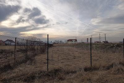 Teren de 1300 mp, în Terezian