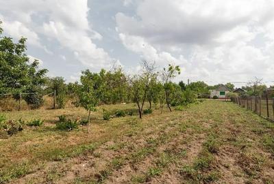 Casă cu 4 camere cu Teren 1672 Mp în Tămășeu - 2