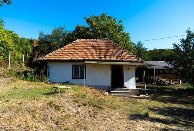 Teren Construcții intravilan de 11400 mp, în Corpadea