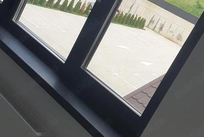 Garsonieră nedecomandată în Vișan - 4