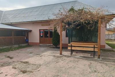Spațiu comercial, de 300 mp, în Lunca Banului