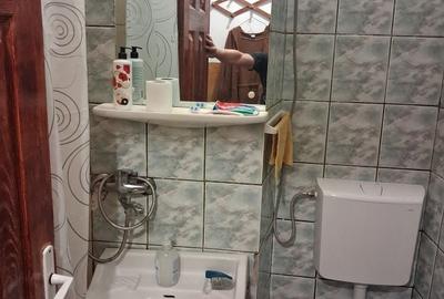 Apartament cu 2 camere semidecomandat în Craiovița Nouă - 8