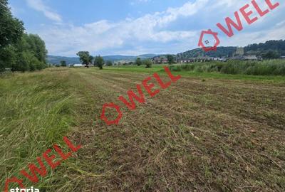 Teren de 2400 mp, în Barcani - 6