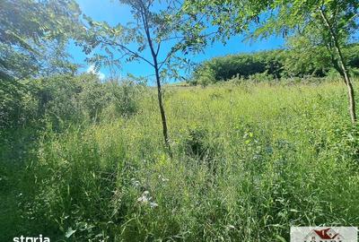 Teren de 500 mp, în Ciugud - 5