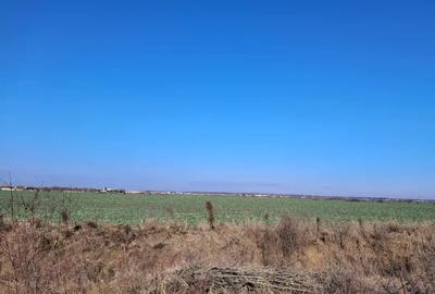Teren de 5000 mp, în Balotești