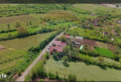 Teren de 3225 mp, în Șiria
