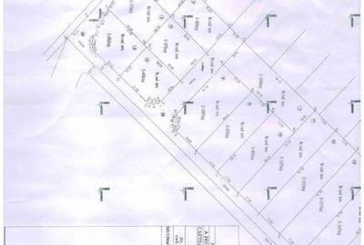 Teren Construcții intravilan de 1048 mp, în Dumbrăvița - 4
