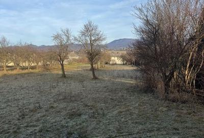 Casă cu 3 camere în Satu Nou de Jos - 2
