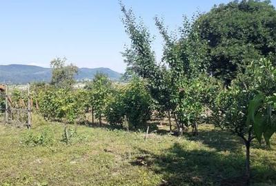 Casă cu 4 camere cu Teren 950 Mp în Berca - 8