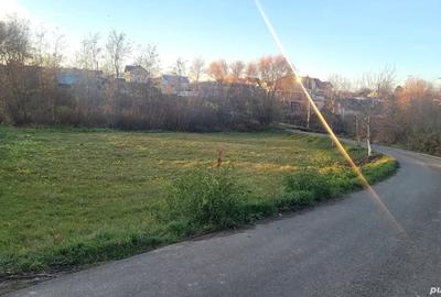 Teren de 1700 mp, în Mereni - 6