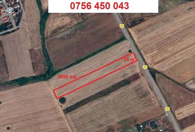 Teren de 8650 mp, în Sânmihaiu Român - 2