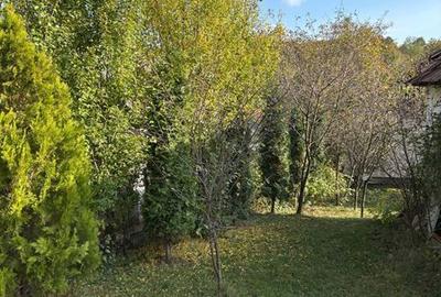 Casă cu 2 camere cu Teren 87 Mp în Vulcana-Băi - 5